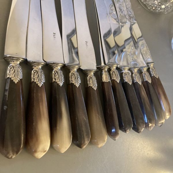 12 Couteaux de table, manche en corne brune