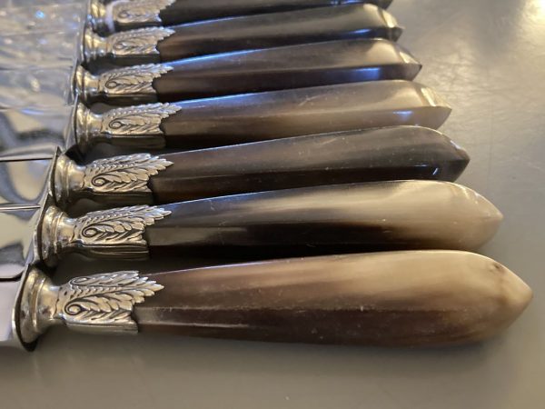 12 Couteaux de table, manche en corne brune
